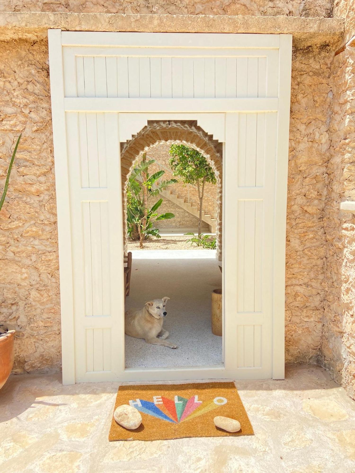 Kaouki Lodge Sidi Kaouki Kültér fotó